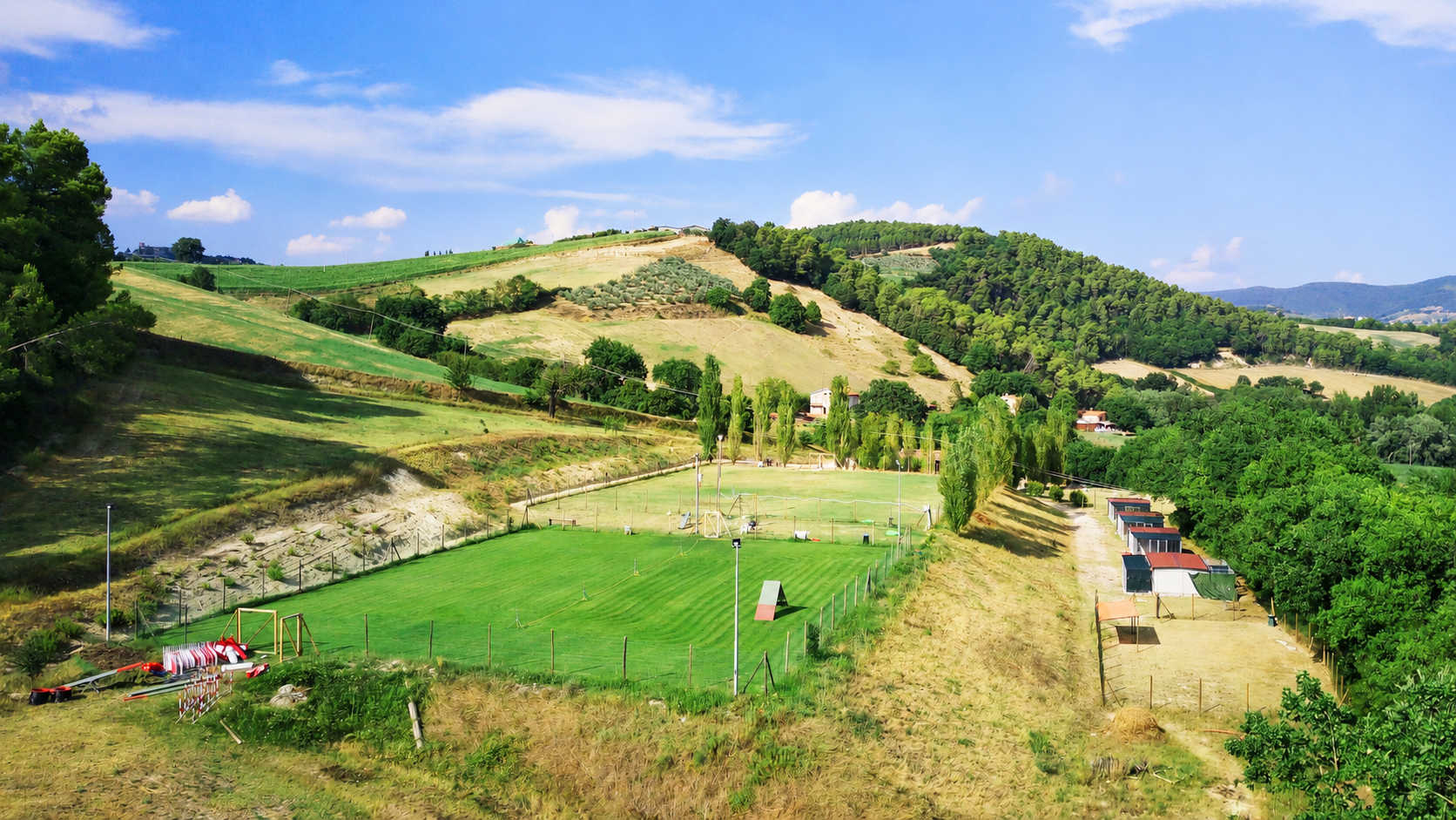 Dogs Club Umbria — progetto digitale