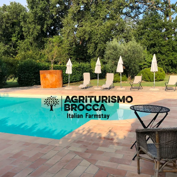 Agriturismo Brocca — progetto digitale