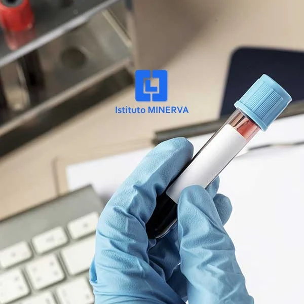 Istituto Minerva — progetto digitale