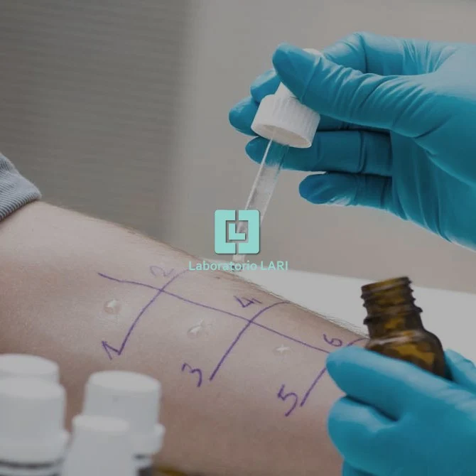 Laboratorio Lari — progetto digitale